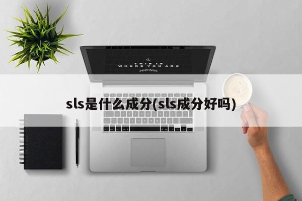 sls是什么成分(sls成分好吗)